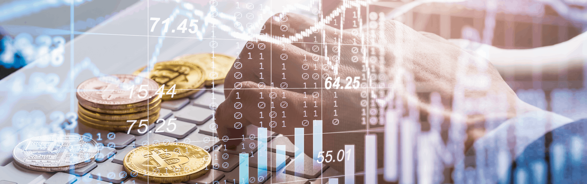 Add text to describe the image